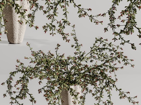  植物花束花瓶 453d模型 