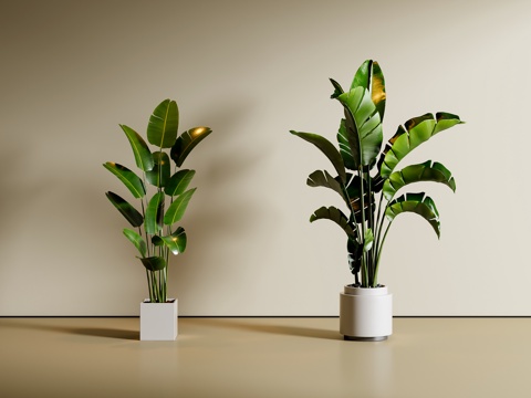 现代绿植盆栽 植物 盆景su模型