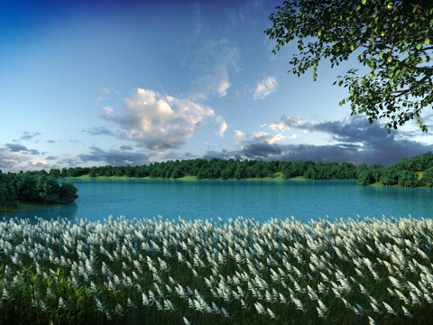  现代室外湿地公园 园林小区 小品景观 芦苇湖景河景3d模型 