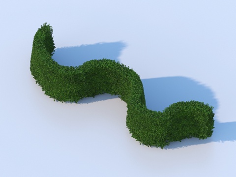  绿蓠 灌木 花草 植物3d模型 