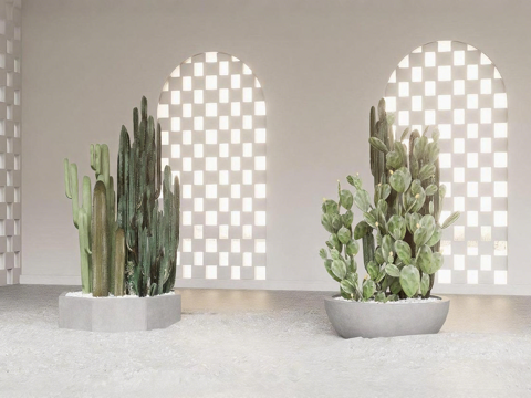 现代简约风盆栽 室内绿植盆栽 仙人掌植物 柱状仙人掌 团扇仙su模型