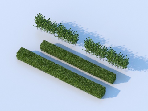  绿蓠 灌木 花草 植物3d模型 