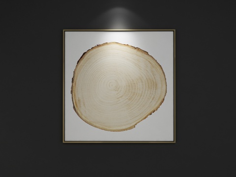  现代年轮装饰挂画 抽象画 装饰画 画 3D模型3d模型 