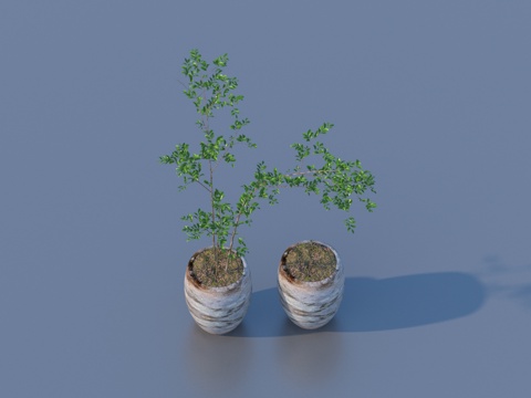 花盆 盆栽 绿植 植物3d模型 