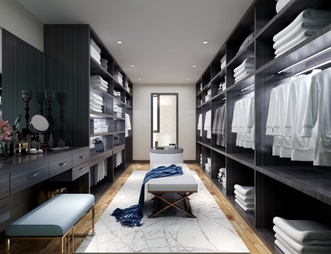  现代风格衣帽间3d模型 