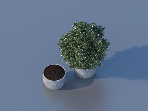  花盆 盆栽 绿植 植物3d模型 