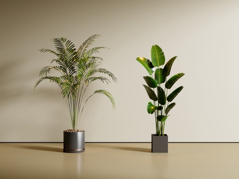 现代绿植盆栽 植物 盆景su模型