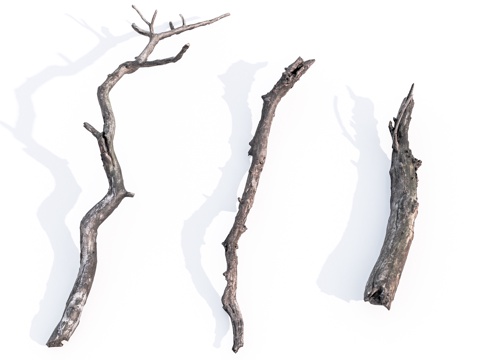 枯木su模型