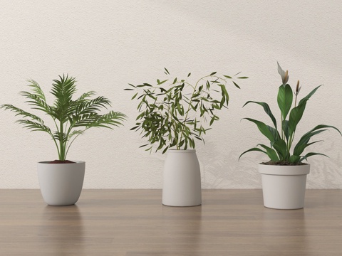 现代绿植 盆栽盆景su模型