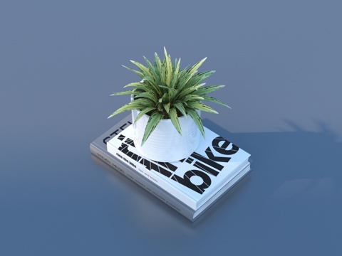  花盆 盆栽 绿植 植物3d模型 