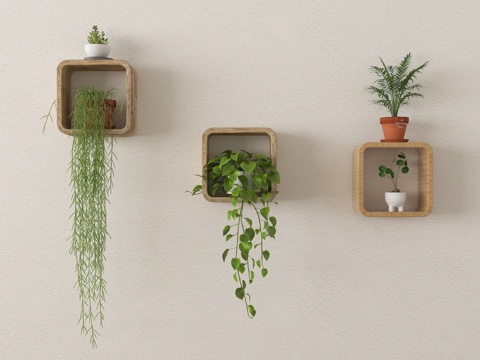 盆栽植物 小绿植吊兰su模型