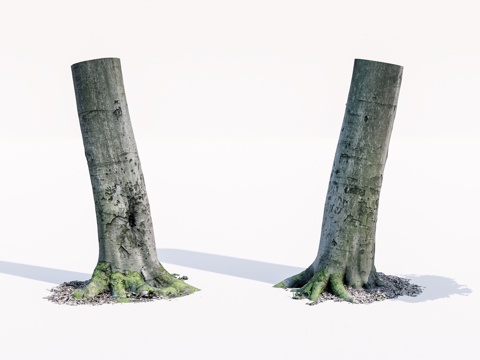 枯木 枯树su模型