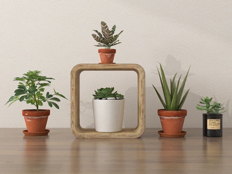 现代盆栽 室内植物盆su模型