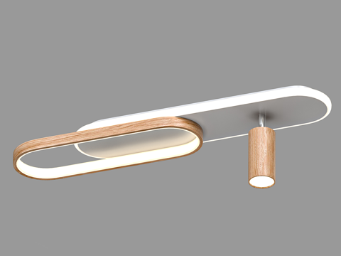  现代简约吸顶灯 吸顶灯 简约吸顶灯 灯3d模型 