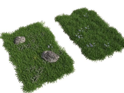  现代草坪 草地 杂草 野草 植物 植被3d模型 