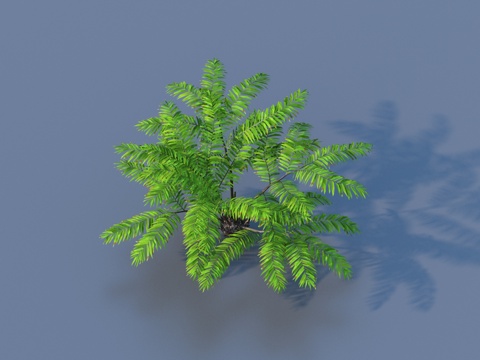  草 花草 野草 写实3d模型 