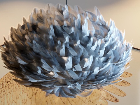  后现代羽毛灯 时尚吊灯 现代吊灯 客厅吊灯3d模型 