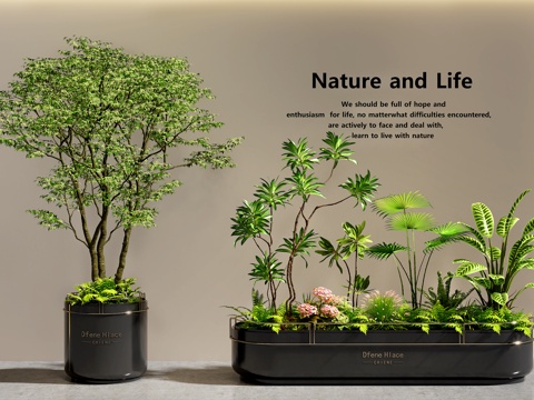  室内景观  植物堆   花坛花池  植物组合  景观树3d模型 