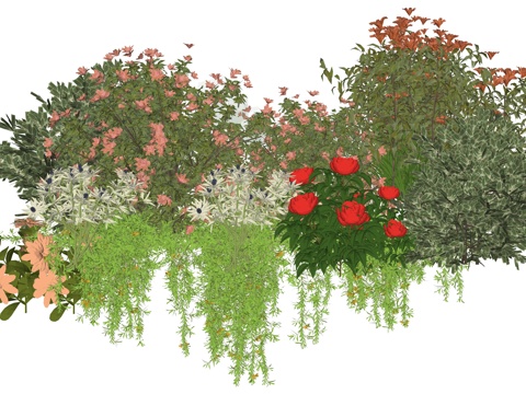 现代庭院植物堆景观组合su模型