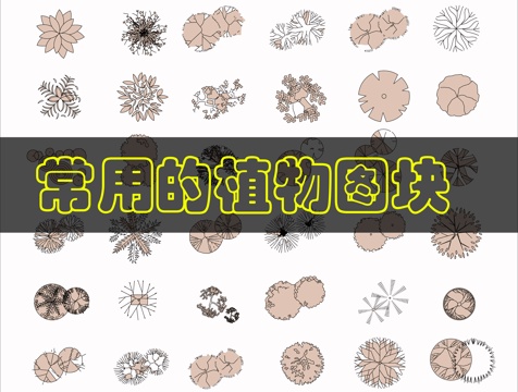 植物平面CAD图块cad施工图