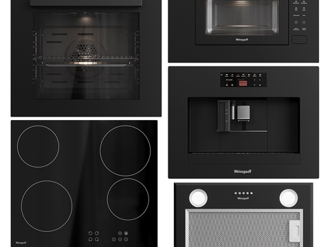  嵌入式厨房电器 Weissgauff 013d模型 