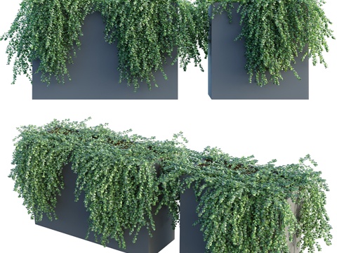  盆栽常春藤3模块#63d模型 