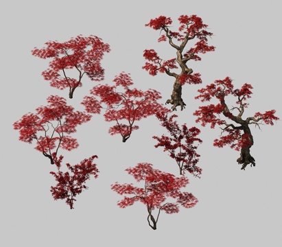 其它枫树 红枫树 树 植物绿植 灌木 树木3d模型 