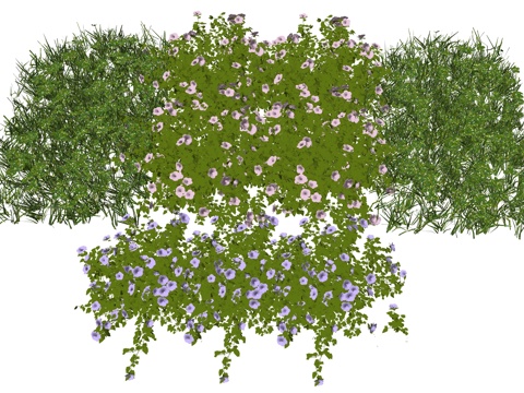 现代花卉植物su模型