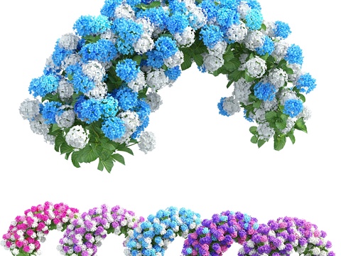  植物绣球花套装053d模型 