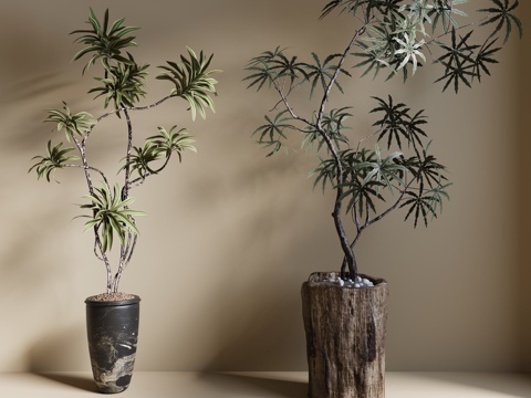  现代绿植盆栽 中古风绿植盆栽 落地植物 禅意盆栽 室內植物3d模型 