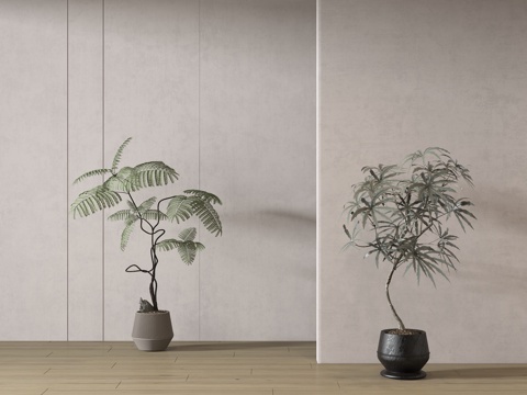  现代绿植盆栽 中古风绿植盆栽 落地植物 禅意盆栽 室內植物3d模型 