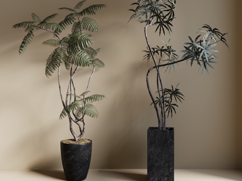  现代绿植盆栽 中古风绿植盆栽 落地植物 禅意盆栽 室內植物3d模型 