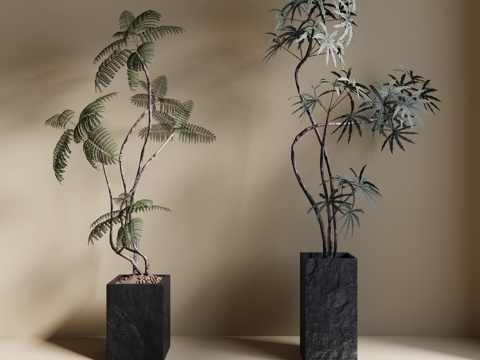  现代绿植盆栽 中古风绿植盆栽 落地植物 禅意盆栽 室內植物3d模型 