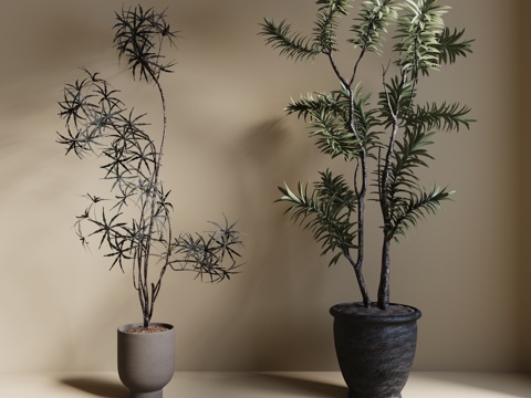  现代绿植盆栽 中古风绿植盆栽 落地植物 禅意盆栽 室內植物3d模型 