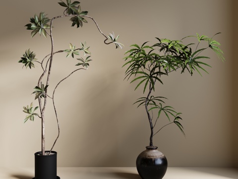  现代绿植盆栽 中古风绿植盆栽 落地植物 禅意盆栽 室內植物3d模型 