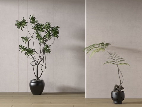  现代绿植盆栽 中古风绿植盆栽 落地植物 禅意盆栽 室內植物3d模型 