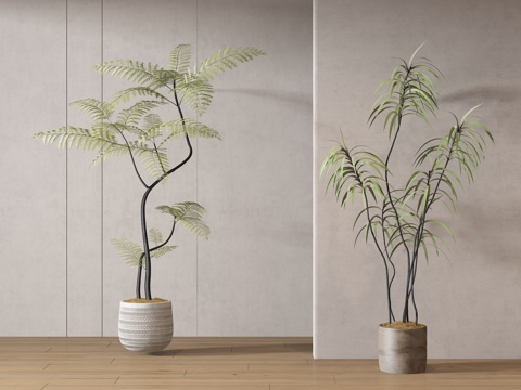  现代绿植盆栽 中古风绿植盆栽 落地植物 禅意盆栽 室內植物3d模型 