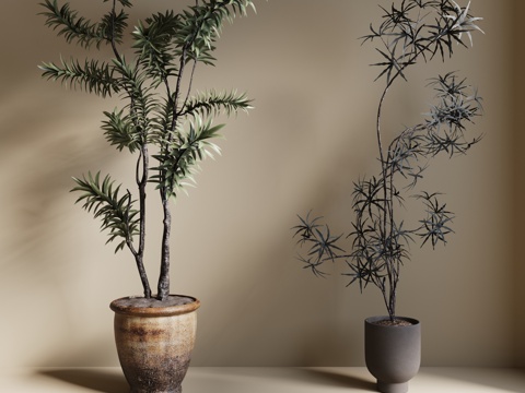  现代绿植盆栽 中古风绿植盆栽 落地植物 禅意盆栽 室內植物3d模型 