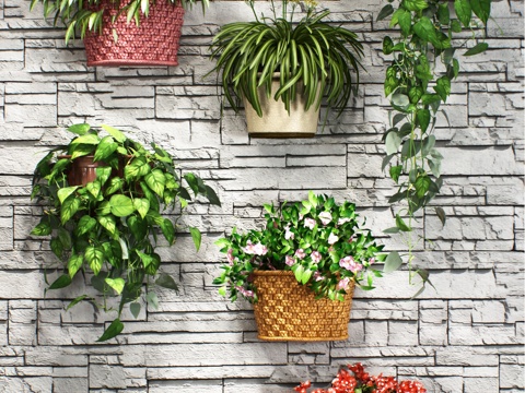  现代植物挂画 盆栽饰品 装饰品 植物墙饰 墙饰 墙饰挂件3d模型 