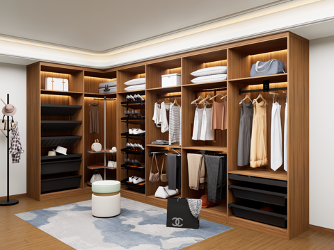 现代衣柜五金配件 旋转衣柜旋转鞋架 格子抽拉篮 裤架衣物篮su模型