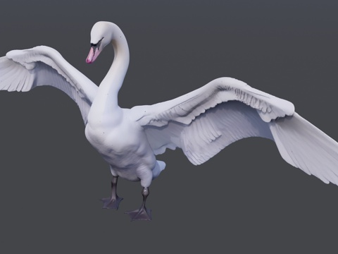 展翅的白天鹅su模型