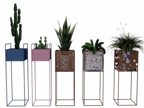 组团 造景 室内造景 灌木 乔木su模型