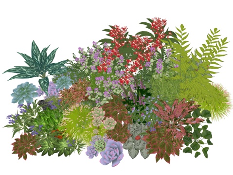 现代庭院景观植物组合su模型