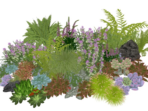 现代庭院景观植物组合su模型