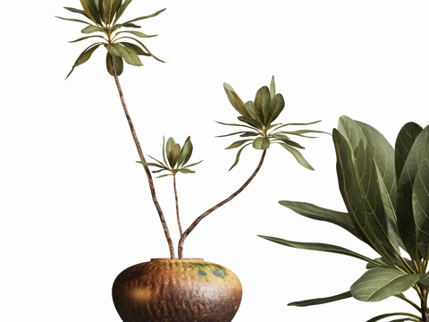 现代中古花瓶盆栽植物摆件su模型