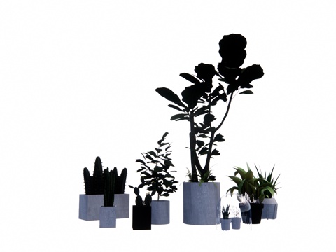 植物 灌木 组团 造景 室外造景 乔木su模型