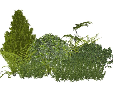 现代庭院景观植物组合su模型