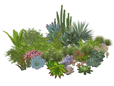  现代庭院植物堆景观组合su模型 