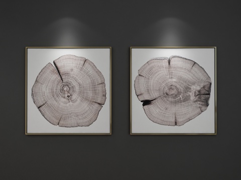  现代年轮树木抽象装饰挂画 抽象画 装饰画 画 3D模型3d模型 