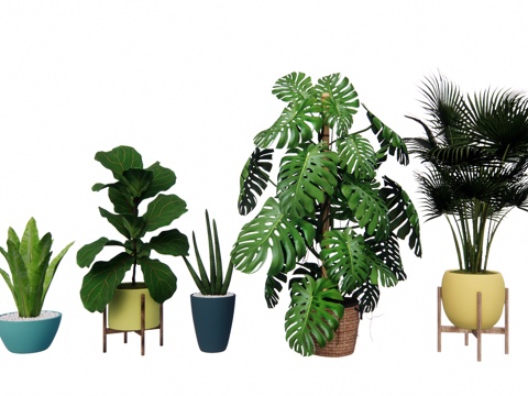 组团 景观 灌木 造景 室外造景 植物 室内造景su模型